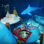 AIRBNB : Une nuit au milieu des requins