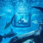AIRBNB : Une nuit au milieu des requins
