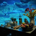 AIRBNB : Une nuit au milieu des requins