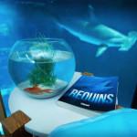 AIRBNB : Une nuit au milieu des requins