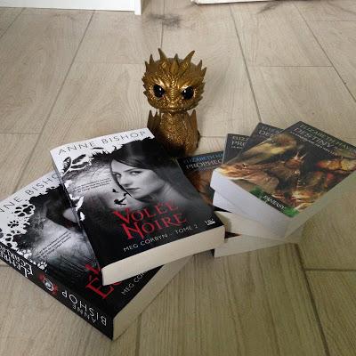 [Concours] - Anniversaire sur le site !!