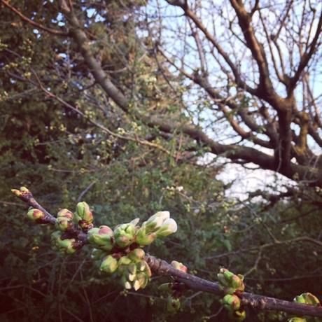 Mars en Instagram, et quelques soupirs