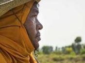 L’idée l’agro-industrie plus efficace l’agriculture familiale mythe