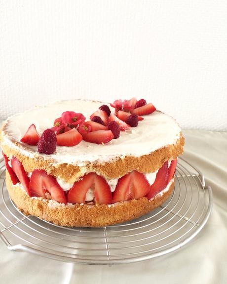 Stawberry Cake Diy Stawberry Cake Diy