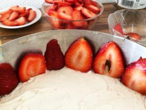 Stawberry Cake Diy Stawberry Cake Diy