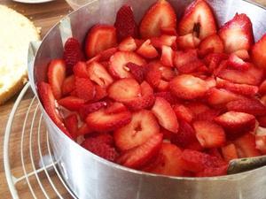 Stawberry Cake  Diy 