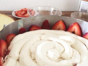 Stawberry Cake Diy Stawberry Cake Diy