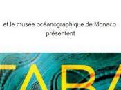 Galerie Avril 2016 Australie Océanie Arts peuples