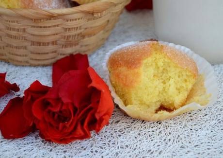 Magdalenas espagnoles