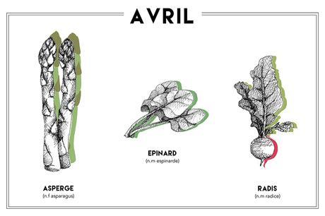 Avril illustration par Aloÿse Mendoza