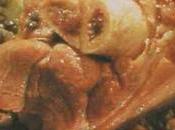 Jarret porc noir lentilles vertes