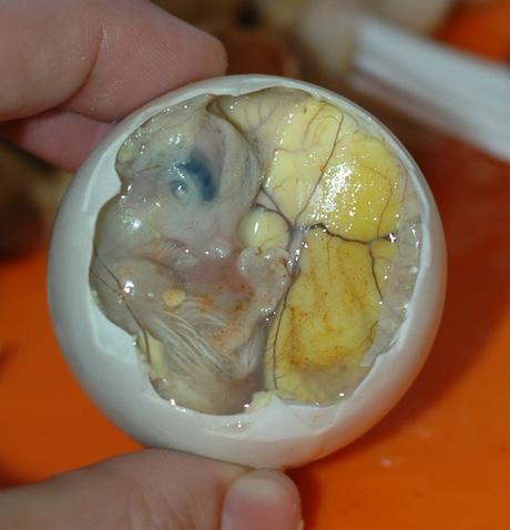 Balut, By Marshall Astor