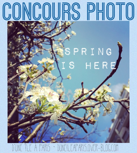 Spring photo challenge (c) D'une île à Paris