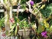 Terra Botanica, c'est ouvert depuis samedi avril.