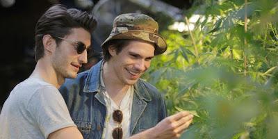 Five : La comédie française qui renouvelle le genre Five : La comédie française qui renouvelle le genre