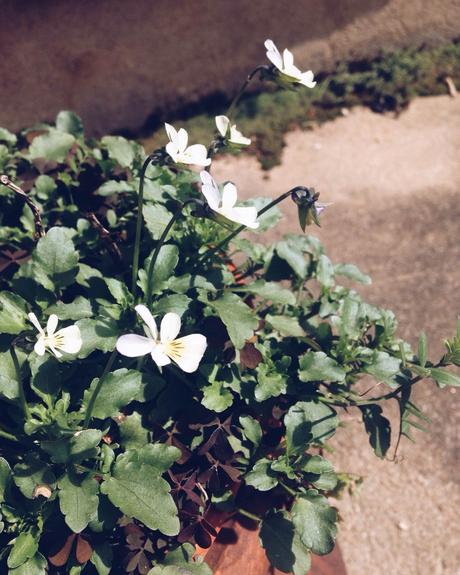 La non fatalité du burn-out