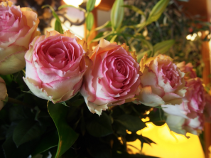 Le temps des fleurs, une parenthèse enchantée