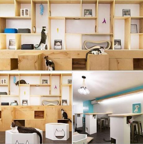 le “Meow Parlour”