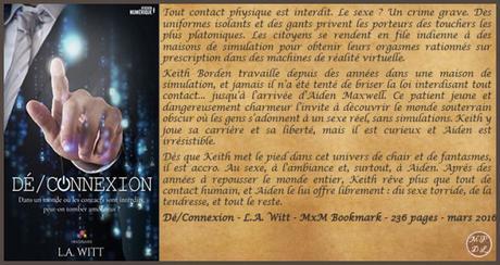 Dé/connexion – L.A. Witt