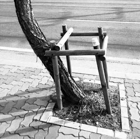 Libre de nature... avec Arnaud Desjardins