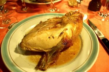 Aile et blanc  © P.Faus