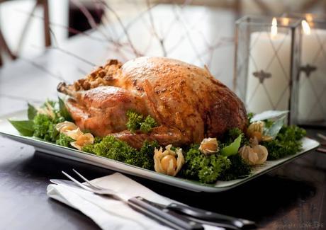 12289633_1042480719163321_2655661516808071433_n(1)