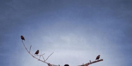 Les traversées – Solange Delhomme