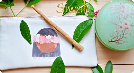 le siwak..... une douceur pour les dents...mais bien plus qu'une simple brosse a dents le siwak..... une douceur pour les dents...mais bien plus qu'une simple brosse a dents