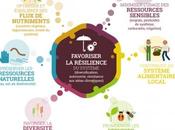 Qu'est-ce l'agroécologie fiche pratique