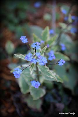 Le printemps joue à cache cache...