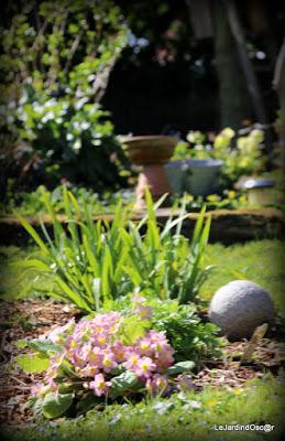 Le printemps joue à cache cache...