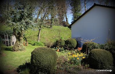 Le printemps joue à cache cache...