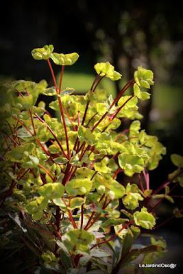 Le printemps joue à cache cache...