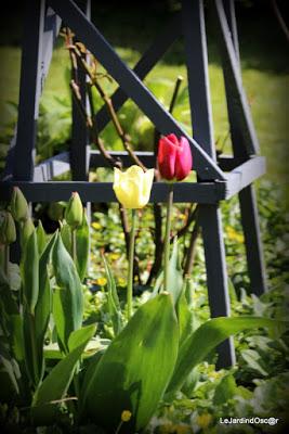 Le printemps joue à cache cache...