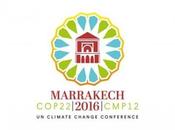 Révélation l’identité visuelle officielle COP22