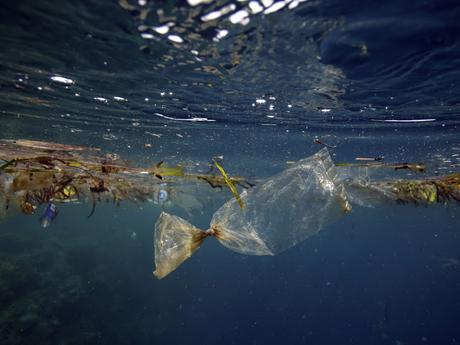 SCIENCES / NATURE alt=