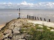 Charente-Maritime Parc naturel marin "une coquille vide"