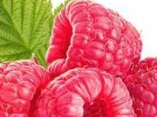 FRAMBOISES: Petit fruit contre grandes maladies chroniques FASEB Journal