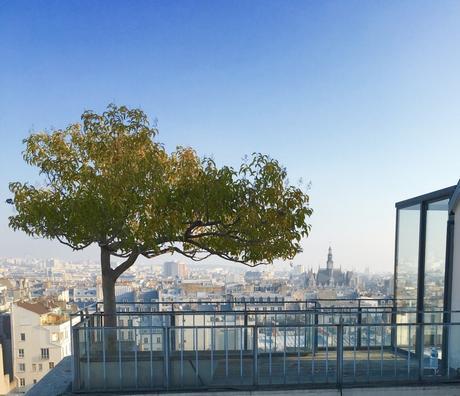 toits de paris clemaroundthecorner