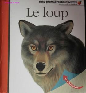 (Vide-greniers) La récolte #3 vide grenier 10