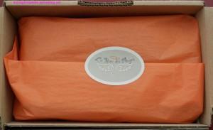 Brassiere rire des anges 7