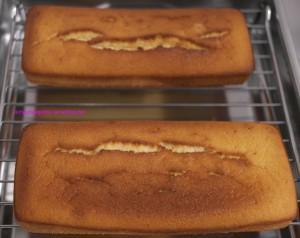 (La recette pour les nuls) Cake aux citrons ou comment épater la galerie SAM_1049