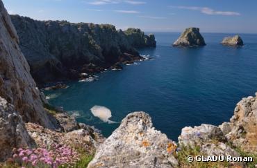 Sorties nature : Top 5 des plus belles vues en Bretagne