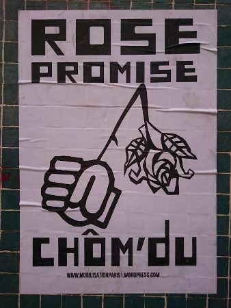 rose_promise.JPG