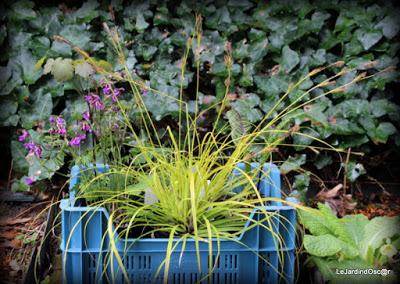 Escapade Parisienne ...