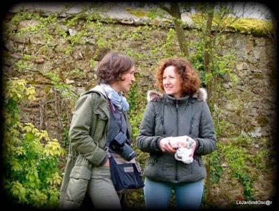 Escapade Parisienne ...