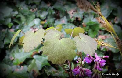 Escapade Parisienne ...