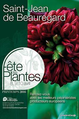 Escapade Parisienne ...