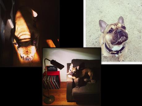 UNE VIE SOUS INSTAGRAM # 29