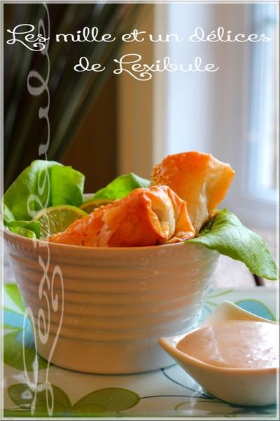 ~Rouleaux au poulet en pâte phyllo~